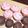 薔薇猫's cooksnap of when they made 【バレンタイン】完璧なチョコマカロン.