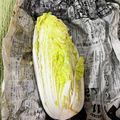 mantacarp's cooksnap of when they made 丸ごと白菜の長持ちさせる方法だワン.