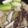 クック2H9MD0☆'s cooksnap of when they made 湯豆腐鍋.