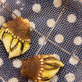 むらきあ's cooksnap of when they made 簡単 亀の手の塩茹で.
