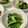 CHISA☆ごはん♪'s cooksnap of when they made 小松菜とひじきと高野豆腐の含め煮.