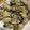 ポメちょん's cooksnap of when they made 簡単！旨い！牡蠣の酒蒸し♪.