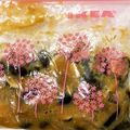 ‘ohanachan's cooksnap of when they made コリコリ歯ごたえ♪エリンギの味噌漬け★.