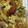 かずぱん１０２'s cooksnap of when they made から揚げ生まれ変わり卵とじ.