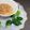 pinegeorge's cooksnap of when they made チンゲン菜のネギソースサラダ風.