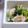 もすろー's cooksnap of when they made 鶏ささみと三つ葉の柚子こしょう和え.