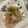 ほあちん's cooksnap of when they made 簡単！大根サラダ！ごま大根.