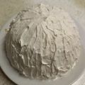 MUJIRUSI☆'s cooksnap of when they made 簡単 カステラのドームケーキ.