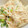 クックHB0OYQ☆'s cooksnap of when they made 大根とツナのわさびマヨネーズサラダ.