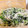 鈴子☆'s cooksnap of when they made 簡単！水菜とわかめとしらすのマヨサラダ.