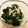 クックOVUGGG☆'s cooksnap of when they made 簡単！ほうれん草としらすのおひたし.