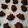 chef RIE's cooksnap of when they made カンパンをリメイク.