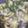 クック8J0LFQ☆'s cooksnap of when they made 本当に美味しい牡蠣鍋.