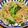 QPはにー's cooksnap of when they made ブロッコリーとベーコンのバター醤油パスタ.
