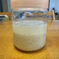 ５つのぷちとまと's cooksnap of when they made 塩麹　かんたんレシピ.