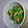 わんこばにこ's cooksnap of when they made 簡単！オクラのゴマ和え.