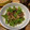 クッタロさん's cooksnap of when they made ＊ししとうとみょうがの炒め物＊.