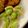 MULA's cooksnap of when they made 切干し大根の煮物リメイク→サラダ.