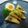 クック4QSH31☆'s cooksnap of when they made サッと1品！枝豆とチーズの焼き春巻き.