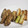 タキシード犬's cooksnap of when they made 牡蠣ねぎバター炒め.