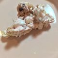 コロナで料理始めた人's cooksnap of when they made チョコバー【簡単！バレンタインにも】.