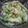 SORAKH's cooksnap of when they made キャベツの甘みが最高!!たまなー炒め.