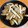 Loomia's cooksnap of when they made 　サトイモとイカの煮物.