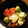 hana_0313's cooksnap of when they made タコとアボカドとトマトの前菜.