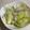 papikun's cooksnap of when they made 白だしで☆大根とキャベツの浅漬け☆.
