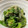 pocomama☆'s cooksnap of when they made 【ほうれん草のお浸し】.