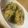 NOEMIE★'s cooksnap of when they made 間違いない基本のほうれん草ペペロンチーノ.