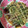 クックH86AFM☆'s cooksnap of when they made 米粉でもっちり♪我が家の定番お好み焼き.