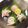 ちゃまたまご's cooksnap of when they made ほうぼうの刺身.