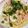 ruru☆kaa☆'s cooksnap of when they made イカの和風パスタ.