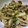 チャーたんのママ's cooksnap of when they made 豚肉の柚子胡椒みそ焼き.