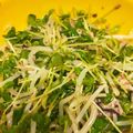 のっこ8687's cooksnap of when they made お財布の救世主♡無限もやし・豆苗サラダ.