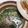 孝志の嫁's cooksnap of when they made 超簡単！千切り野菜の豚肉巻き♪.