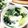 ともこキッチン's cooksnap of when they made 【生ワカメ】美味しいワカメスープ.