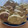 もりっこかふぇ's cooksnap of when they made もちもちたい焼き.
