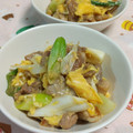 赤い電話's cooksnap of when they made 長ネギ・豚肉と卵の甘辛炒め.