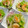 CHISA☆ごはん♪'s cooksnap of when they made キャベツとエビのうま塩炒め.