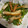 Reo14☆'s cooksnap of when they made さつま揚げとピーマンの簡単炒め.