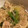 ＊naocook＊'s cooksnap of when they made 豚バラ肉とはるさめのウマウマ煮♡.