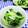 ととろ＆めい's cooksnap of when they made 簡単！小松菜とじゃこの中華炒め.