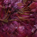 クックXSA9JV☆'s cooksnap of when they made 桜の花で♡簡単桜の塩漬け.