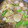 クックB2TJC0☆'s cooksnap of when they made ひき肉と里芋と白菜のとろとろ煮物.