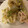 dollyj's cooksnap of when they made 『えのきときゅうりの中華風サラダ』.