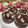 hotarukko's cooksnap of when they made しっとり濃厚チョコレートマフィン.