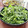 Superlittleboo's cooksnap of when they made ほろ苦ほの甘の美味しさ！☆春菊のサラダ.