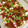 しずずずずず's cooksnap of when they made お弁当に！宝石箱みたいなちらし寿司.